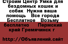 Строим Центр Умка для бездомных кошек и собак! Нужна ваша помощь - Все города Бесплатное » Возьму бесплатно   . Пермский край,Гремячинск г.